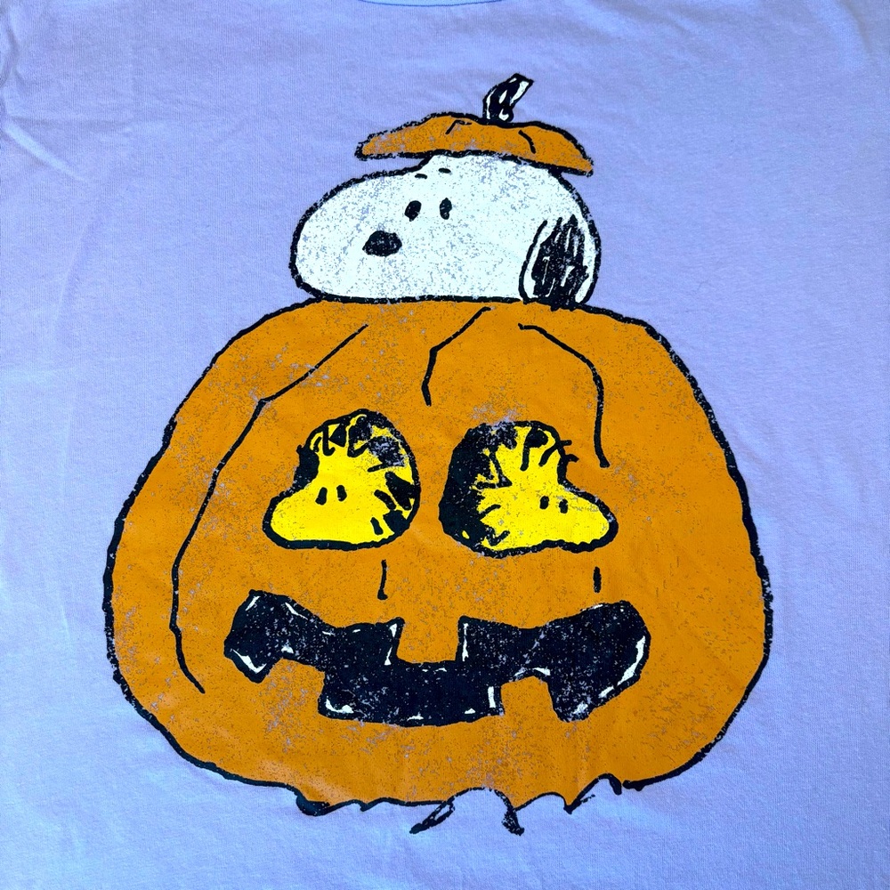 GRAPHIC TEE Peanuts Great Pumpkin Charlie Brown Halloween Snoopy & Woodstock NWT